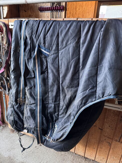 Stalldecke 155cm / 300g, Selina, Horse Blankets, Sheets & Coolers, Mariaposching, Image 2