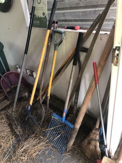 Stable shaving forks spades broom assorted, Mixed, Louise, Wolna stajnia, Lyne