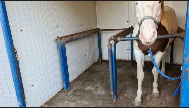 Stall/Unterstand/Offenstall, Yvonne Trappmann , Tack Room & Stable Supplies, Gangelt , Image 3