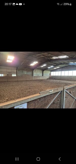 Stallplatz, Boxen frei, Offenstall, Schwastrumhof , Horse Stables, Damp, Image 3