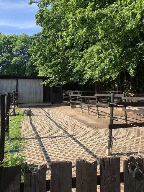 Stallplätze Offenstall Paddockbox Außenbox, Verena Fusari, Horse Stables, Nideggen, Image 8