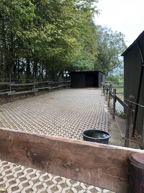 Stallplätze Offenstall Paddockbox Außenbox, Verena Fusari, Horse Stables, Nideggen, Image 13