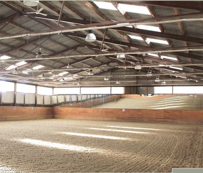 All inclusive Stall nur 5 Minuten von Wien, Petra, Wolna stajnia, Wien, Donaustadt