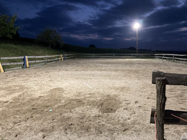 Offenstallplatz auch für Rehepferde geeignet, Corinna , Wolna stajnia, Bairisch Kölldorf, Image 8