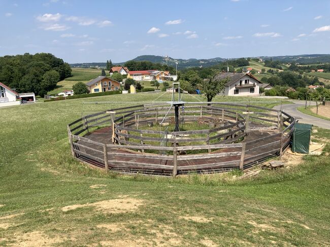 Offenstallplatz auch für Rehepferde geeignet, Corinna , Wolna stajnia, Bairisch Kölldorf, Image 10