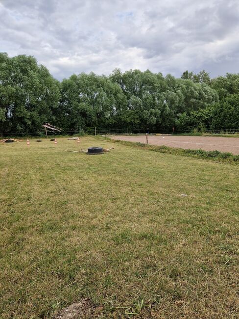 Pensionsbox/Stall frei !, A. Schubert, Horse Stables, Nottleben 