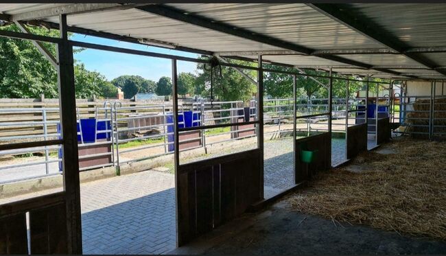 Stall/Unterstand/Offenstall, Yvonne Trappmann , Tack Room & Stable Supplies, Gangelt , Image 6