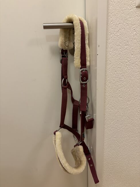 Stall Halfter, Désirée, Halters, Uerzlikon