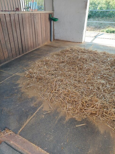 Boxenmatten Paddockmatten Drainoflex, ca. 26 m², Drainoflex, Franz Baur, Horse & Stable Mats, Wannweil, Image 2