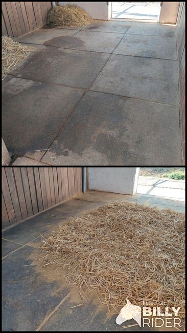 Boxenmatten Paddockmatten Drainoflex, ca. 26 m², Drainoflex, Franz Baur, Horse & Stable Mats, Wannweil, Image 3