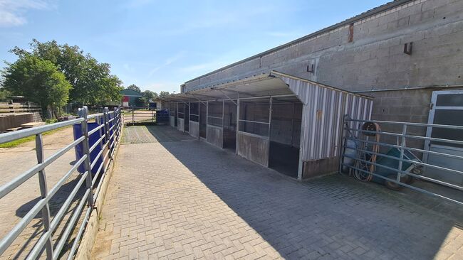 Stall/Unterstand/Offenstall, Yvonne Trappmann , Tack Room & Stable Supplies, Gangelt , Image 2