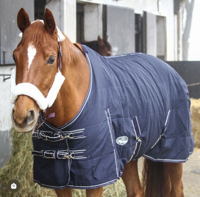 Stalldecke 100g 145cm, Reirerladen24/ Marengos , Clara Wehrmann, Pferdedecken, Vallendar 