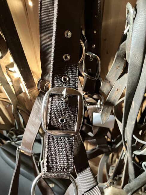 Stallhalfter Kaltblut NEU, Stefanie , Halfter, Miesbach, Abbildung 3