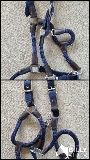 Stallhalfter, Bettina Bogdon, Halters, Schauenburg, Image 3