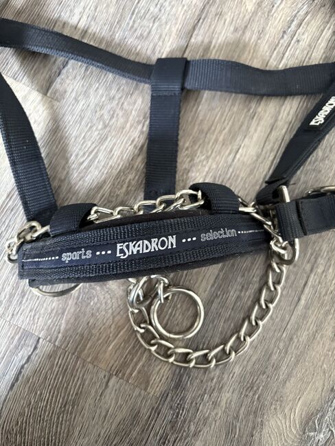 Hengsthalfter Eskadron, Eskadron , Noelle, Halters, Neuss