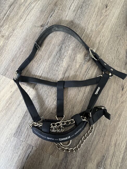 Hengsthalfter Eskadron, Eskadron , Noelle, Halters, Neuss, Image 2