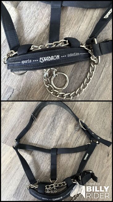 Hengsthalfter Eskadron, Eskadron , Noelle, Halters, Neuss, Image 3