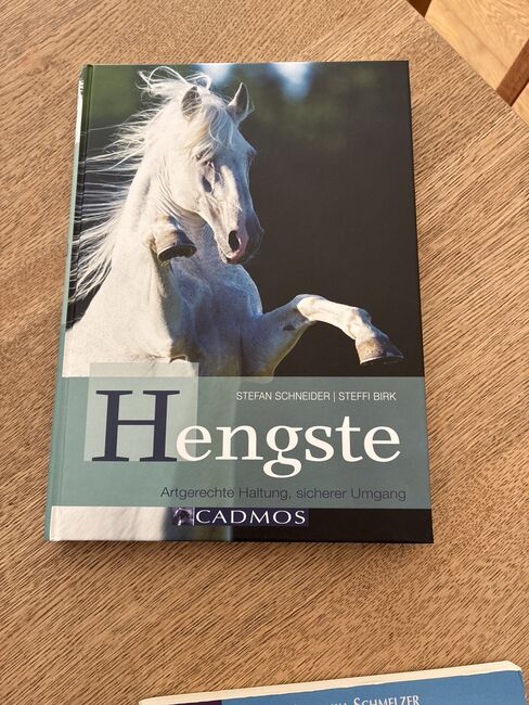 Hengste Schneider/Birk, Cadmos, Ariane Hansen, Books, Nahrendorf