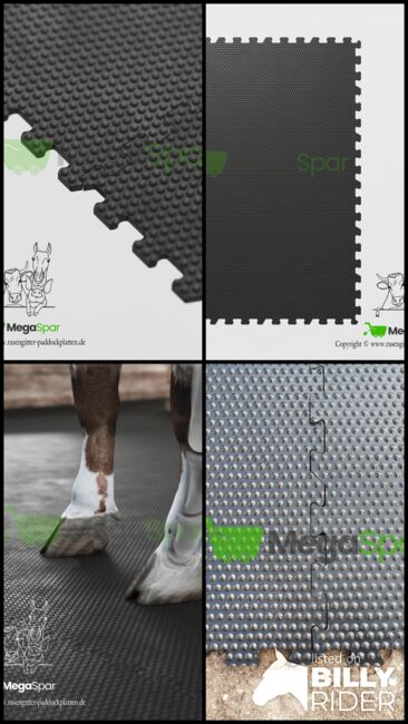 Stallmatten & Gummimatten kaufen – hochwertige Boxenmatten & Liegematte | Pferdematten, MEGASPAR - Online Shop Stallmatten Preis pro Stück | Gummimatten | Stallboden | Pferdematten, MEGASPAR Online-Shop (Walas Krystian BAU-CONSULTING), Horse & Stable Mats, Berlin, Image 19