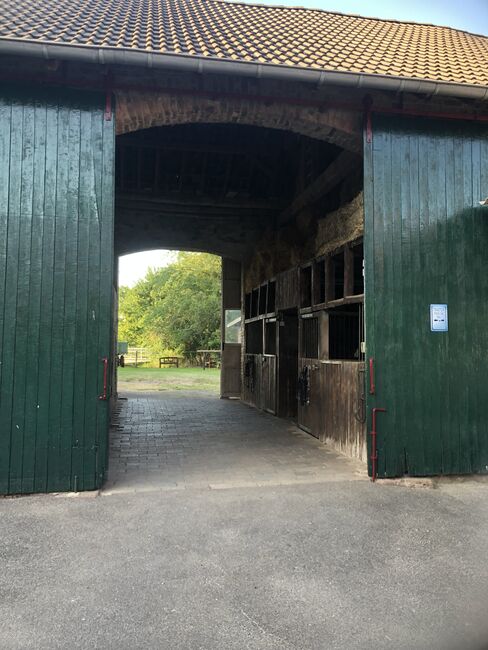 Stallplätze Offenstall Paddockbox Außenbox, Verena Fusari, Horse Stables, Nideggen, Image 7