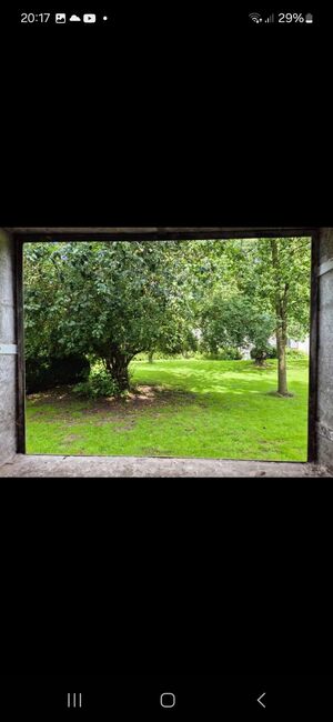 Stallplatz, Boxen frei, Offenstall, Schwastrumhof , Stallplätze, Damp, Abbildung 6
