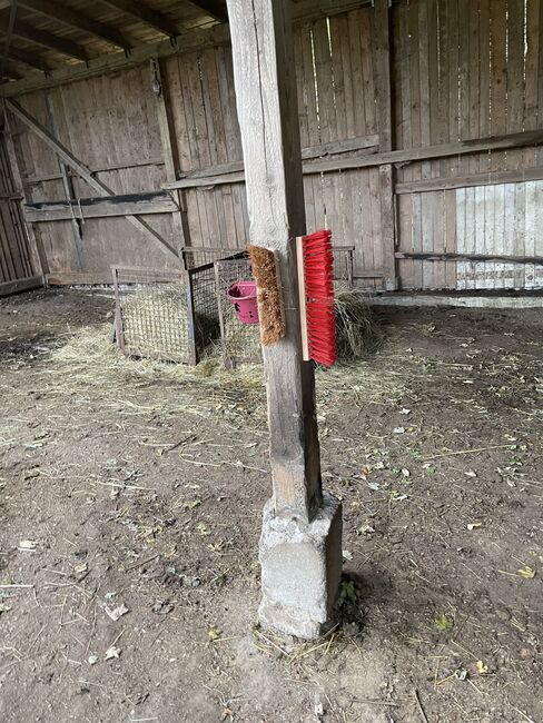 Stallplatz, Außenbox mit Paddock, Außenbox mit Paddock, Sandra und Sven Balzereit , Horse Stables, Bonn, Image 3