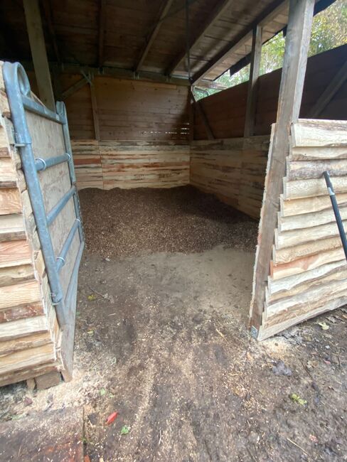 Stallplatz, Außenbox mit Paddock, Außenbox mit Paddock, Sandra und Sven Balzereit , Horse Stables, Bonn, Image 5