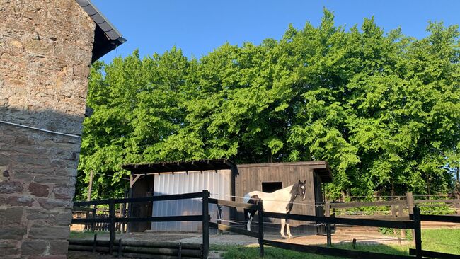 Stallplätze Offenstall Paddockbox Außenbox, Verena Fusari, Horse Stables, Nideggen, Image 11