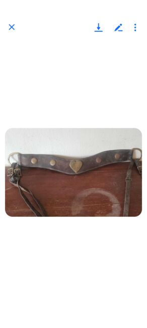 Stamped Collar, Phillip Bowers Custom Collar, Jolene, Siodło akcesoria, Hamburg, Image 2