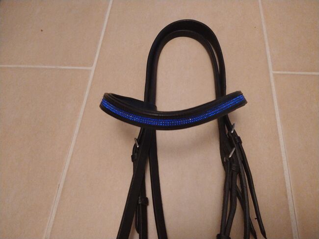 Star Trense Englisch kombiniert schwarz mit blauem Stirnriemen, Star, Alice, Bridles & Headstalls, Brandenburg, Image 3