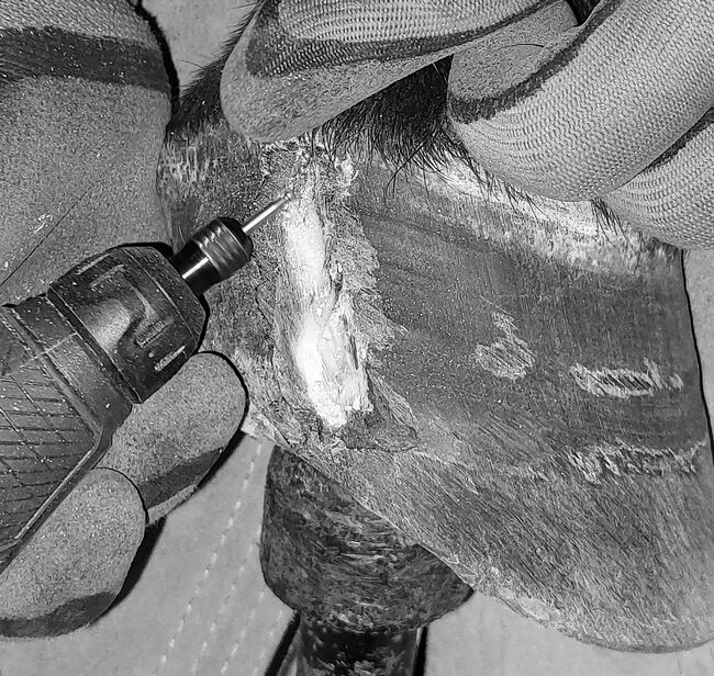 Staatlich geprüfter Hufschmied, Barbara Würtz, Therapy & Treatment, Naila OT Culmitz, Image 3