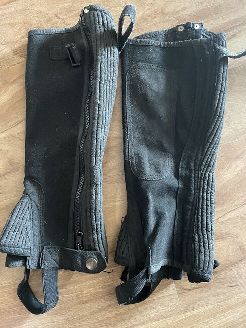 Steeds Chaps Ecolette KM, Steeds Ecolette, Sandra Grunwald, Half Chaps, Suthfeld