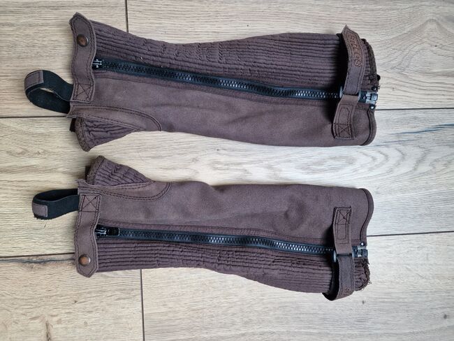 Steeds Chaps M braun, Tanja Tofahrn , Riding Boots, Wipperfürth , Image 2