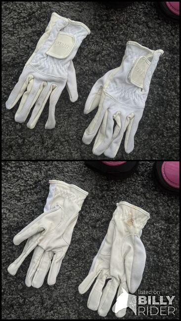 Steeds handschuhe M Weiß, Steeds Handschuhe, aliziya sander , Riding Gloves, erlensee, Image 3