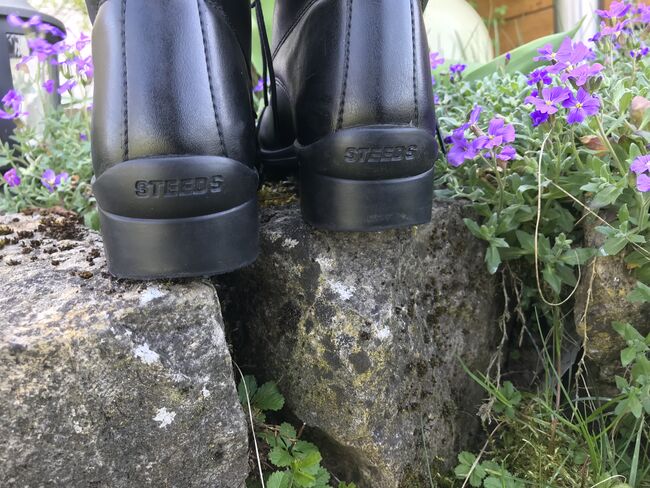 Steeds Reitstiefelette Gr. 37 wie neu, Steeds Rookie, Stefanie Freudenberger , Sztyblety jeździeckie, Billigheim , Image 5