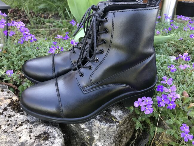 Steeds Reitstiefelette Gr. 37 wie neu, Steeds Rookie, Stefanie Freudenberger , Reitstiefeletten, Billigheim 