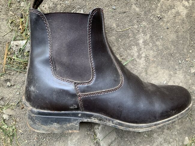 Steeds Stiefeletten, Steeds, Ulrike Meilgen, Reitstiefeletten, Saarbrücken, Abbildung 4