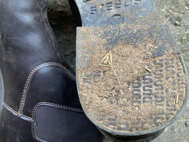 Steeds Stiefeletten, Steeds, Ulrike Meilgen, Reitstiefeletten, Saarbrücken, Abbildung 3