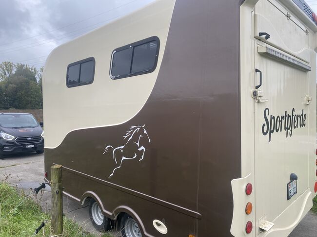 Steinsberger 3 er Anhänger, Steinsberger, Beat Fuhrimann, Horse Trailers, Kirchlindach, Image 3