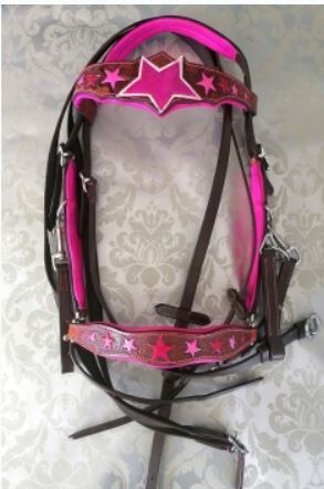 Wanderreithalfter Stars Neu inkl. Zügel in Pink, Grün oder Blau, Crazy rider  Höchste Qualität: Leder Wanderreithalfter " Stars" inkl Zügel, CrazyRider  (CrazyRider ), Nosebands, Bayern - Triftern