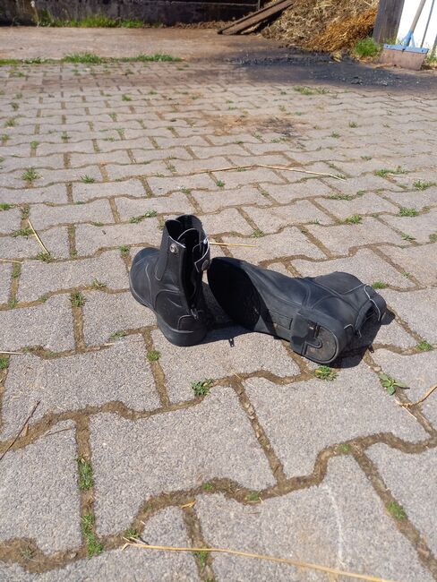 Stiefeletten Reitschuhe 37, Franzi, Reitstiefeletten, Ebsdorfergrund