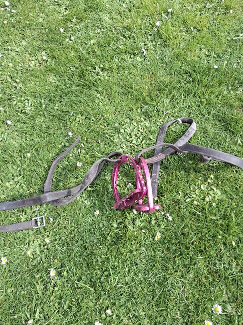 Steigbügel, Privat , Saddle Accessories, Münzenberg 