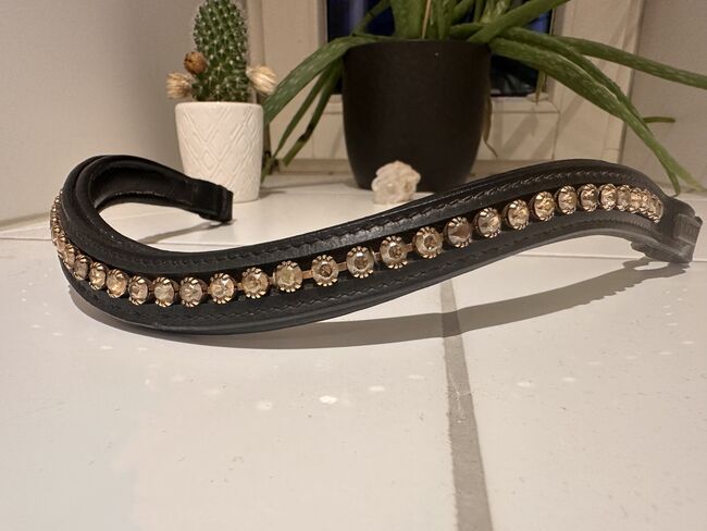 Stirnriemen Ascot WB, Ascot, Liesa, Stirnriemen, Bregenz