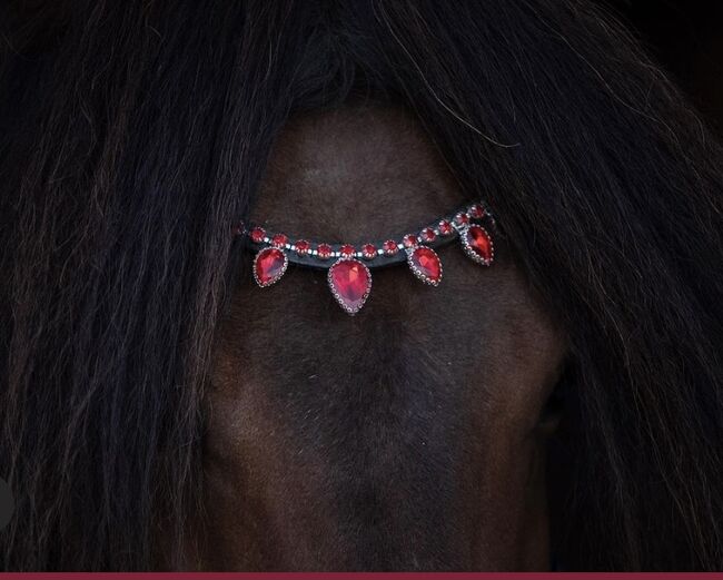 Stirnriemen CrownHorse Diadem, CrownHorse  Diadem , Isirider, Stirnriemen, Ellwangen , Abbildung 2