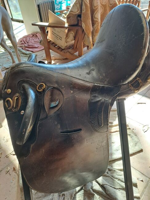 Stock Saddle, Laetitia Fouche, All Purpose Saddle, Bethlehem, Image 3