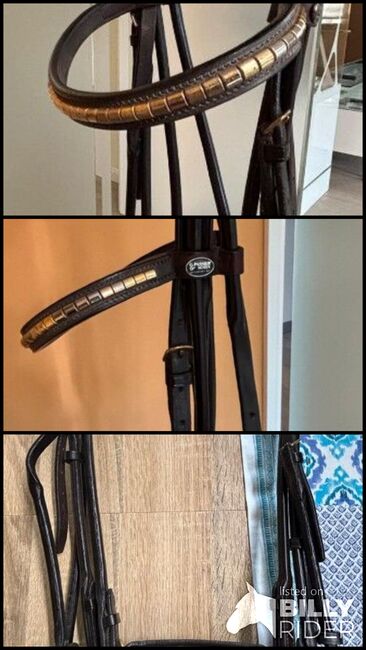 Kandarre Passier, Passier, Tarlan Rahimova, Bridles & Headstalls, Seevetal, Image 4