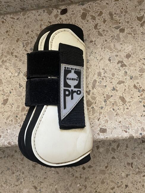 Hartschalengamaschen Gr. Pony, Celine Baum, Tendon Boots, Taunusstein 