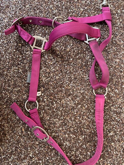 Stoffhalfter pink Warmblut, Waldhausen, Alina, Halters, Herrenberg