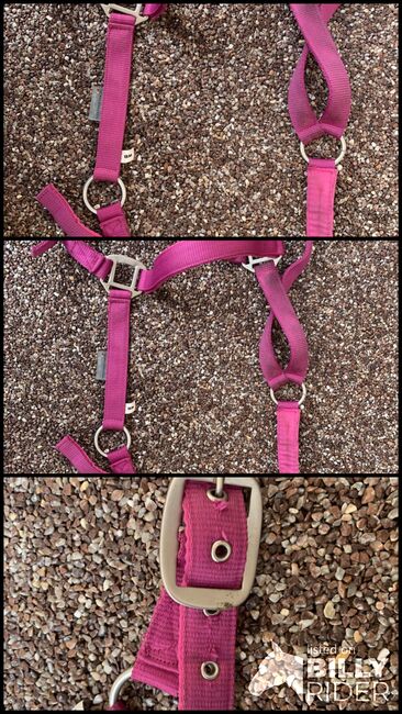 Stoffhalfter pink Warmblut, Waldhausen, Alina, Halters, Herrenberg, Image 4