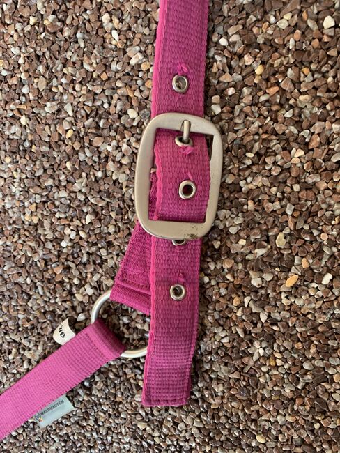 Stoffhalfter pink Warmblut, Waldhausen, Alina, Halters, Herrenberg, Image 3